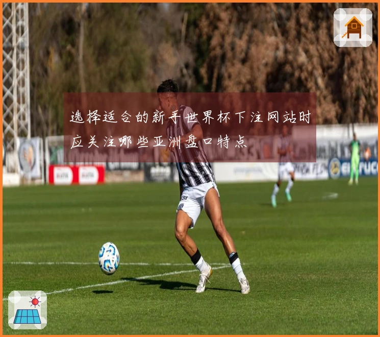 选择适合的新手世界杯下注网站时应关注哪些亚洲盘口特点