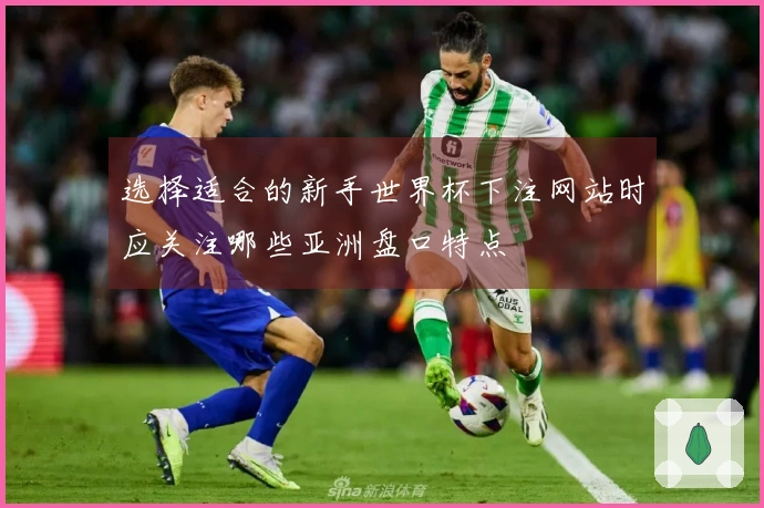 选择适合的新手世界杯下注网站时应关注哪些亚洲盘口特点